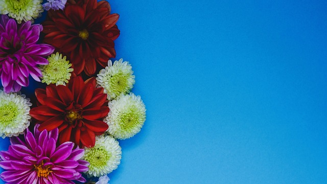 英格拉姆扛起进攻大旗，巴恩斯状态堪忧，猛龙次节净负21分